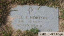 Joel Edward Horton