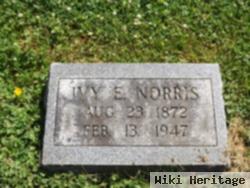 Ivy Ellen Norris