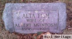 Alta Fish Mcintosh Janes