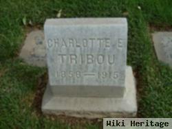 Charlotte E. Tribou