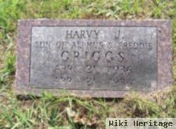 Harvy J. Griggs