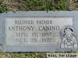 Anthony Canino, Sr