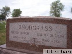 Alfred Burch Snodgrass