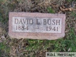 David L. Bush