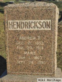 Andrew P Hendricksen