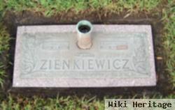 Paul J Zienkiewicz