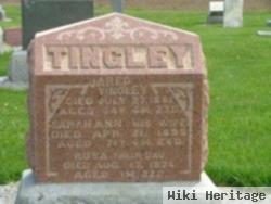 Sarah Ann Mcnelia Tingley