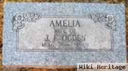 Amelia Waples Ogden