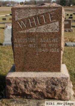 Augustus White