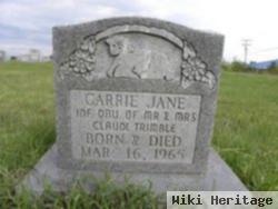 Carrie Jane Trimble