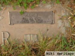 Alice Gorr