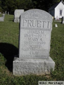 Mary Angeline Harney Pruett