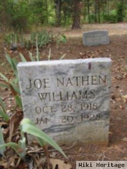 Joe Nathen Williams