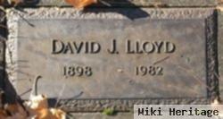 David J Lloyd