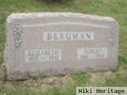 Robert Bergman