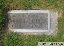 Donna Faye Hess