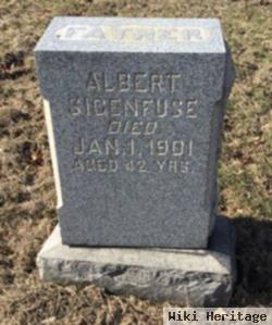 Albert B Seigenfuse