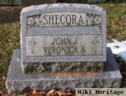 John J Shecora