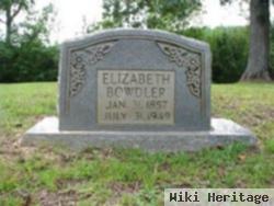 Elizabeth "eliza" Bigrig Bowdler