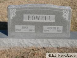 John Powell