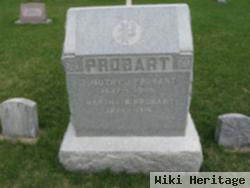 Timothy J. Probart