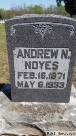 Andrew N Noyes