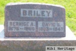 Bernice A. Helms Briley