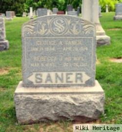 Rebecca J. Williams Saner