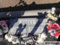 Jimmie N. Bucci