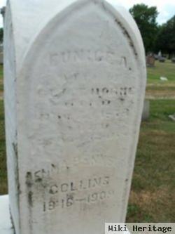 Eunice A. Horne