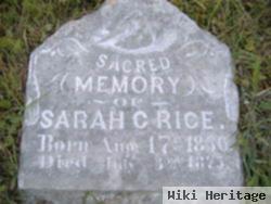 Sarah Clementine Kicthens Rice