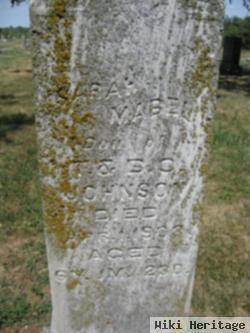 Sarah Mabel Johnson