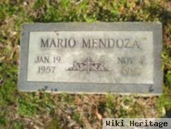 Mario Mendoza