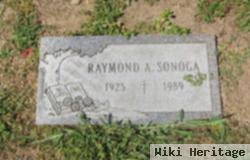 Raymond A Sonoga