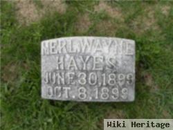 Merl Wayne Hayes