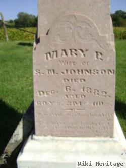 Mary Perthenia Ensign Johnson