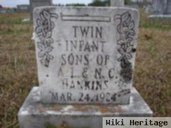 Twin Sons Hankins