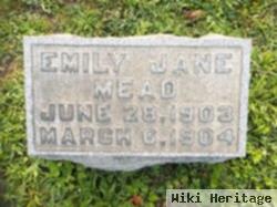 Emily Jane Mead