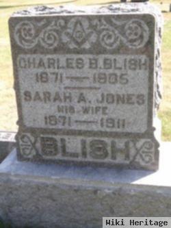 Charles B. Blish