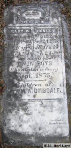 Mary W Dinsdale