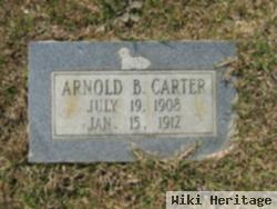 Arnold B Carter