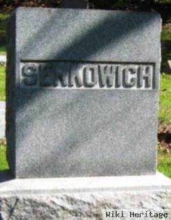 Moses M. Serkowich