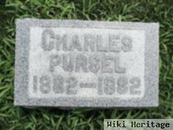 Charles Pursel