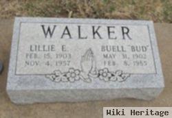 Lillie Ellen Anderson Walker