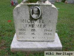 Michael Allen Farmer