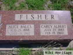 Carey Albert Fisher