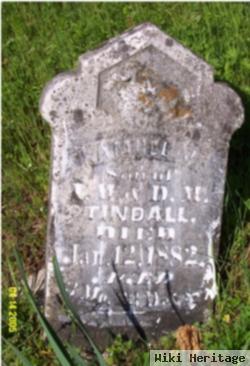 Samuel J Tindall