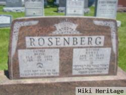 David Rosenberg