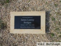 James Leeroy Bridges