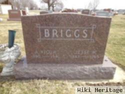 Jesse W Briggs